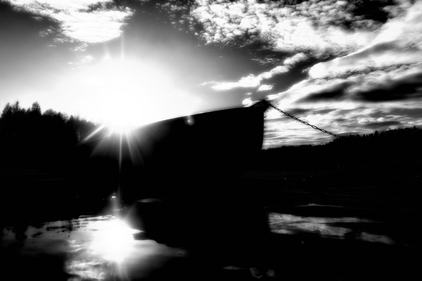 Жизнь вокруг