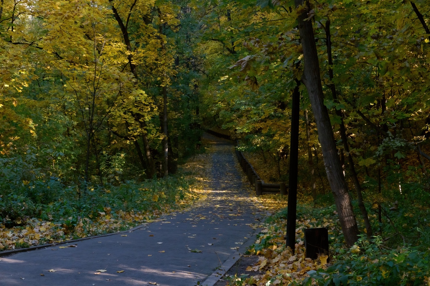 Осень в парке