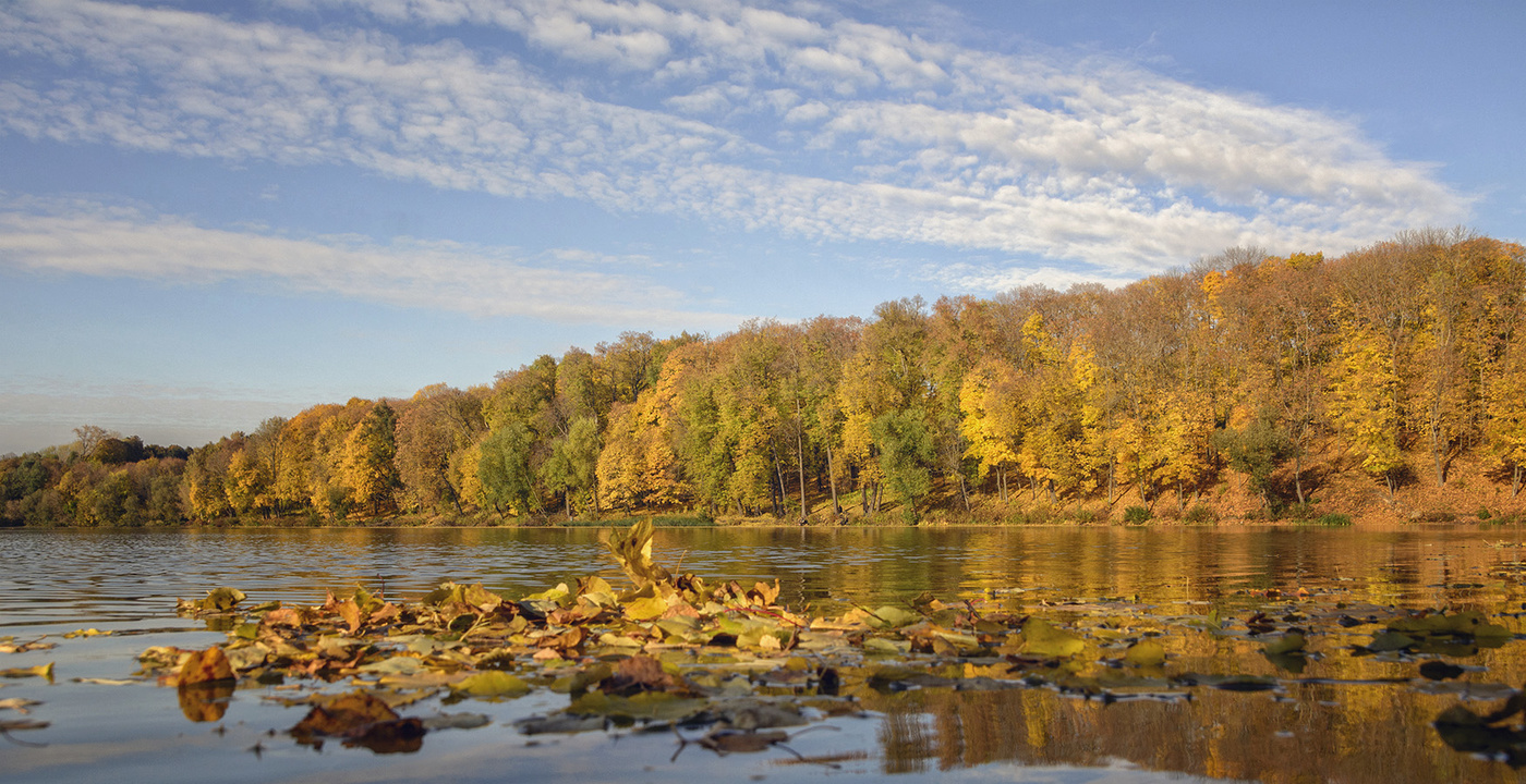 Осень в парке.