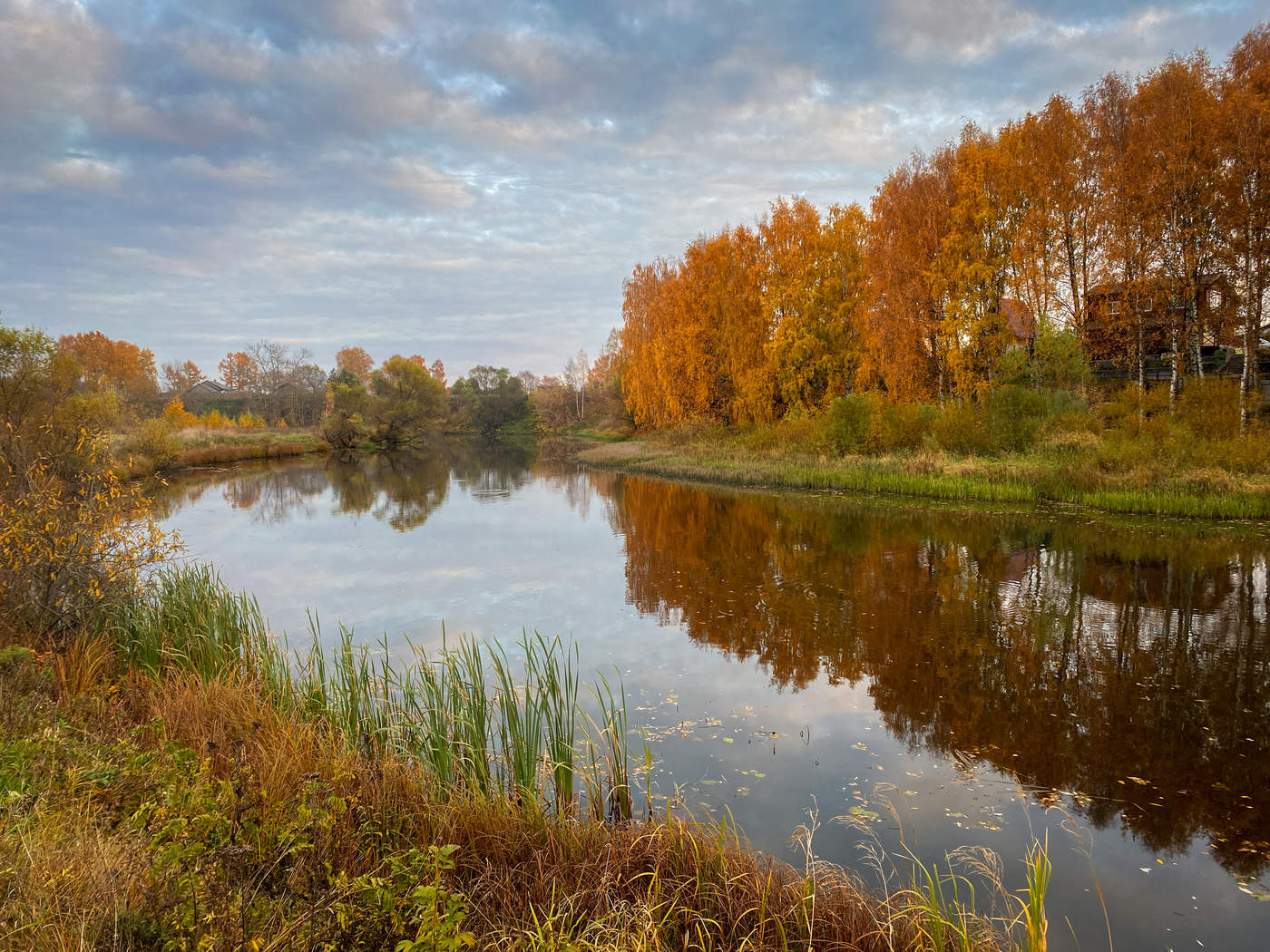 Золотая осень