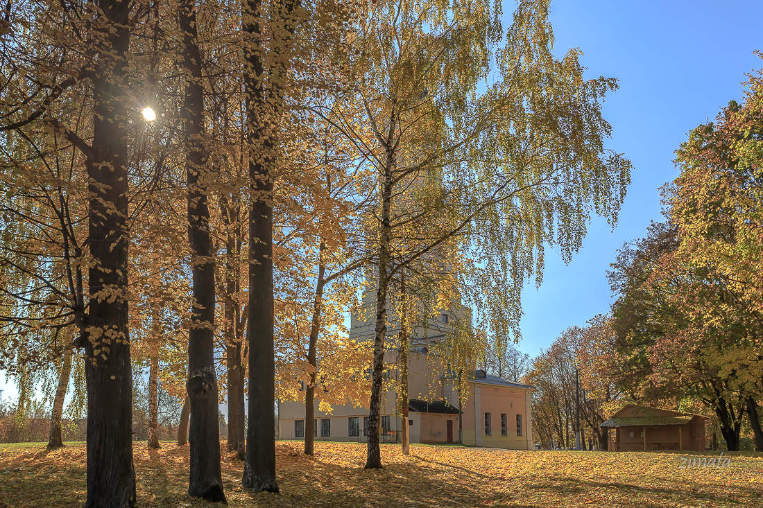 солнечный полдень