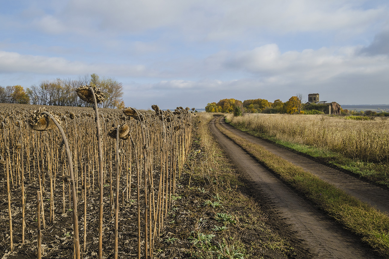 Осенний день в Лошаках