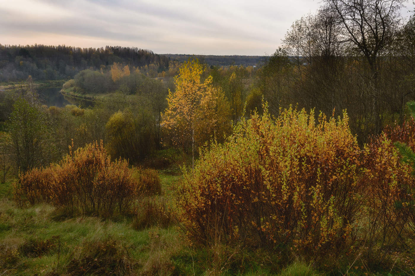 Жизнь вокруг
