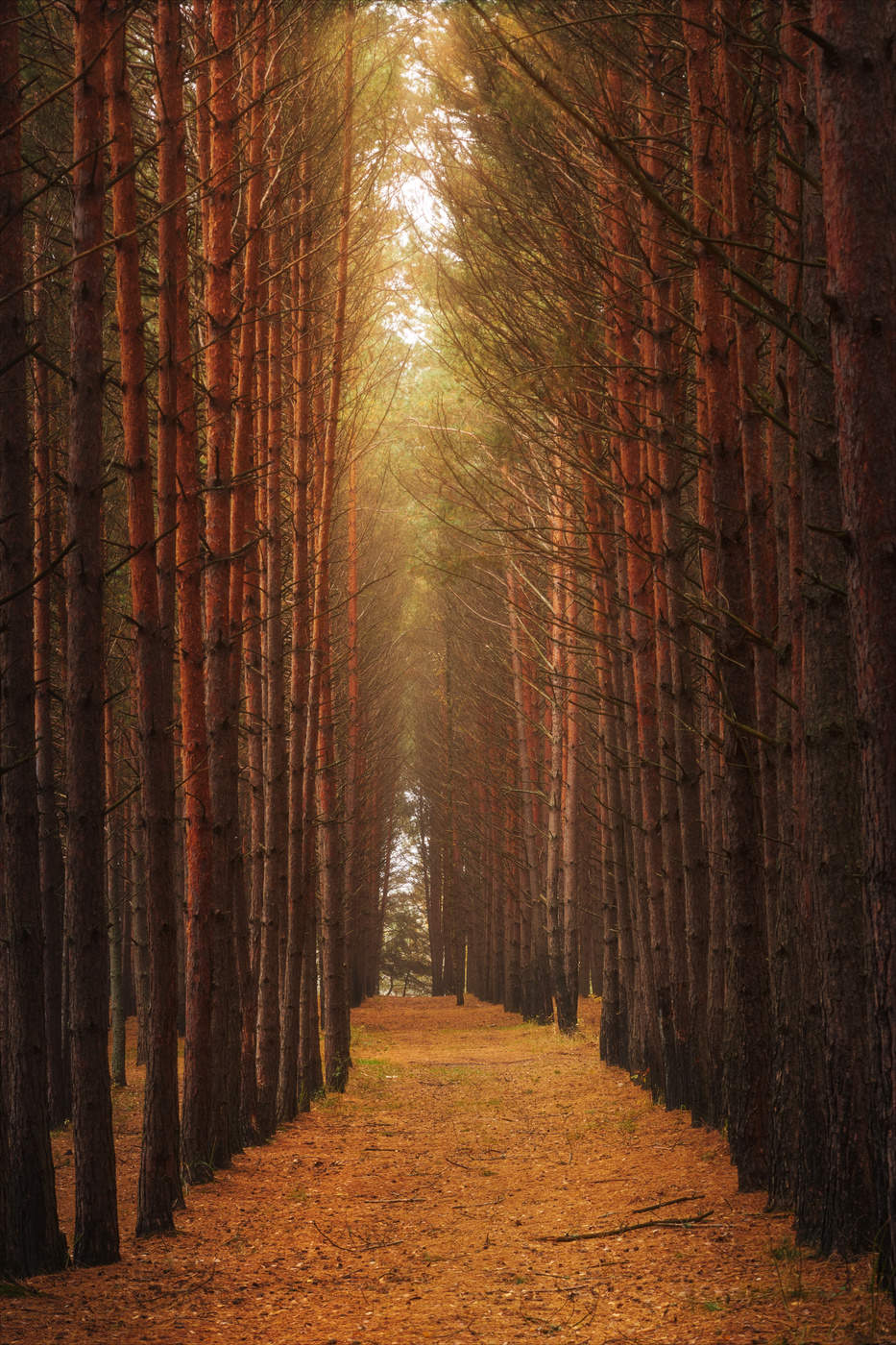 Осенние ритмы