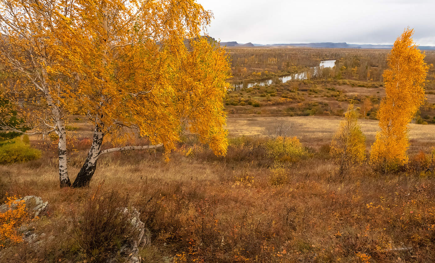 Золото Хакасии