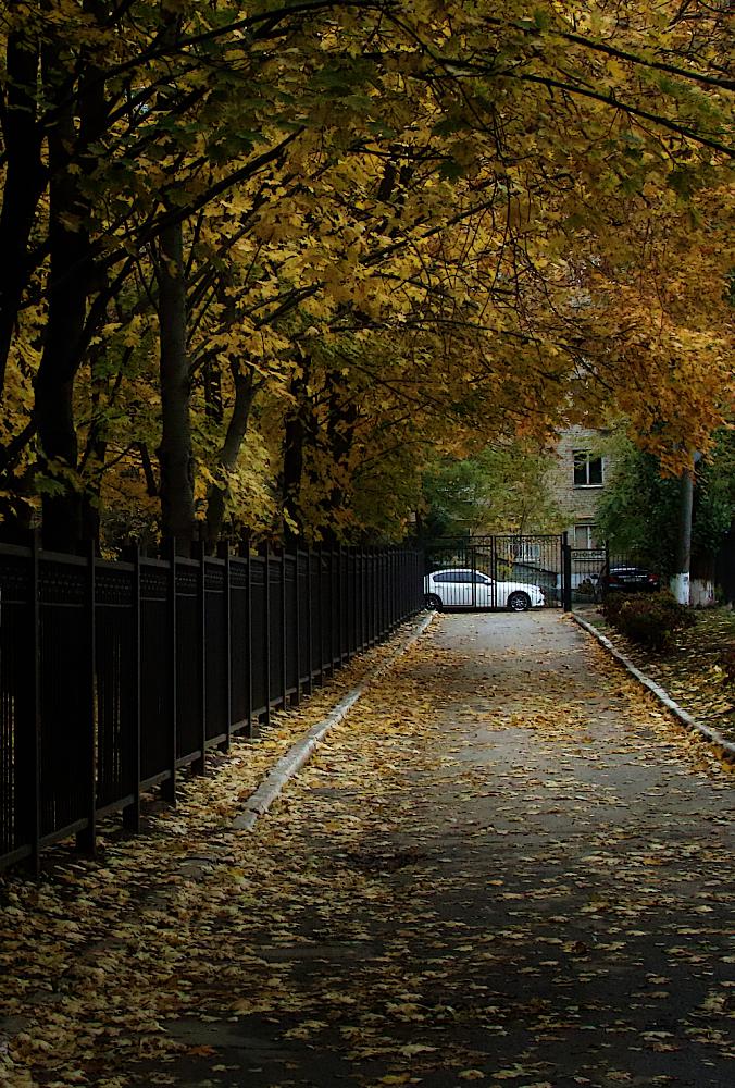 городская осень