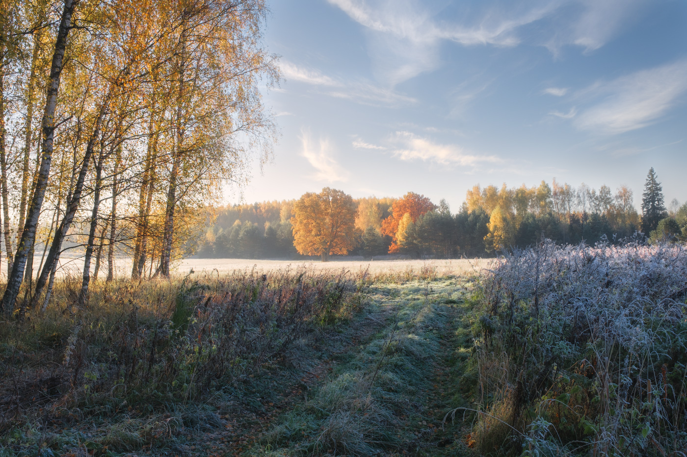 осеннее утро 2