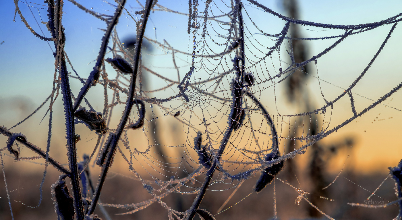 Осенний этюд.