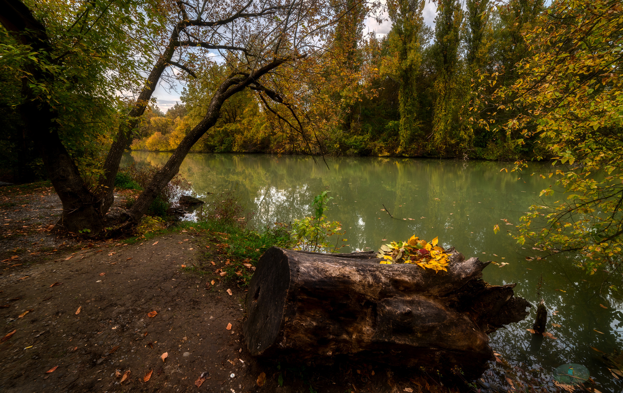 Осенние листья