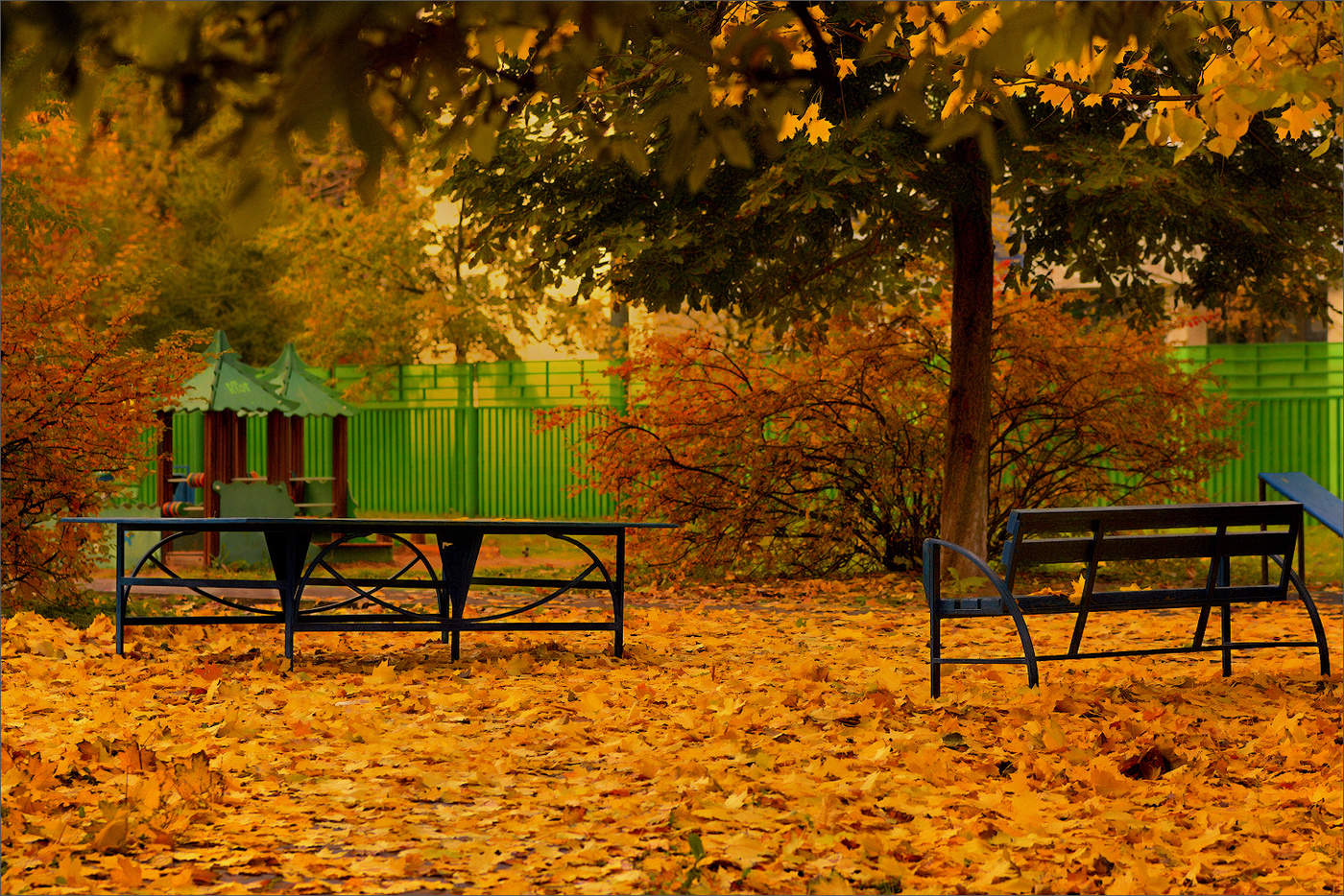 Осень на дворе.