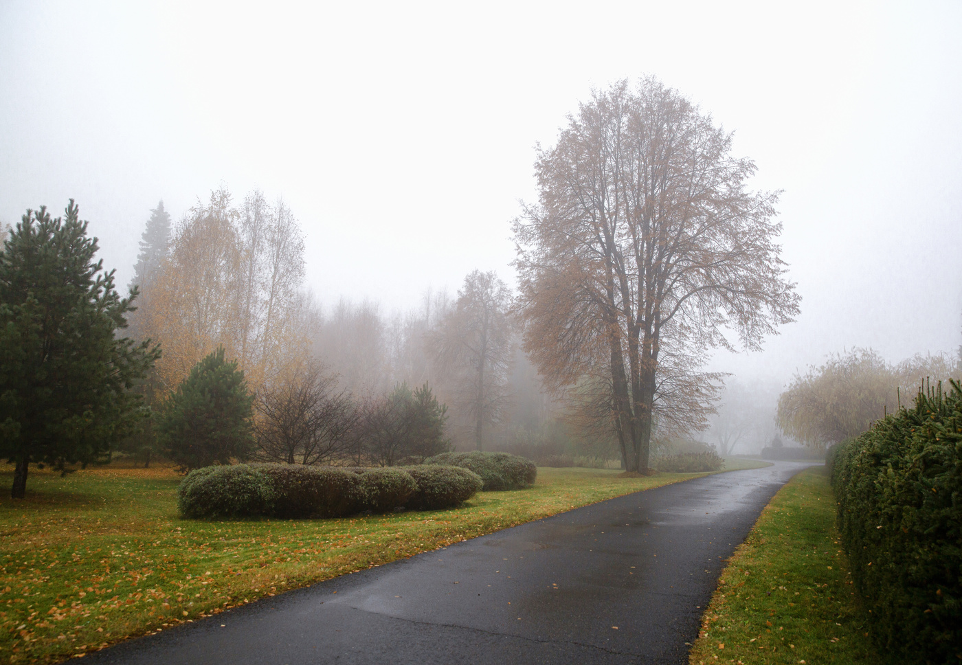 ЕРМАКОВО ПОЛЕ