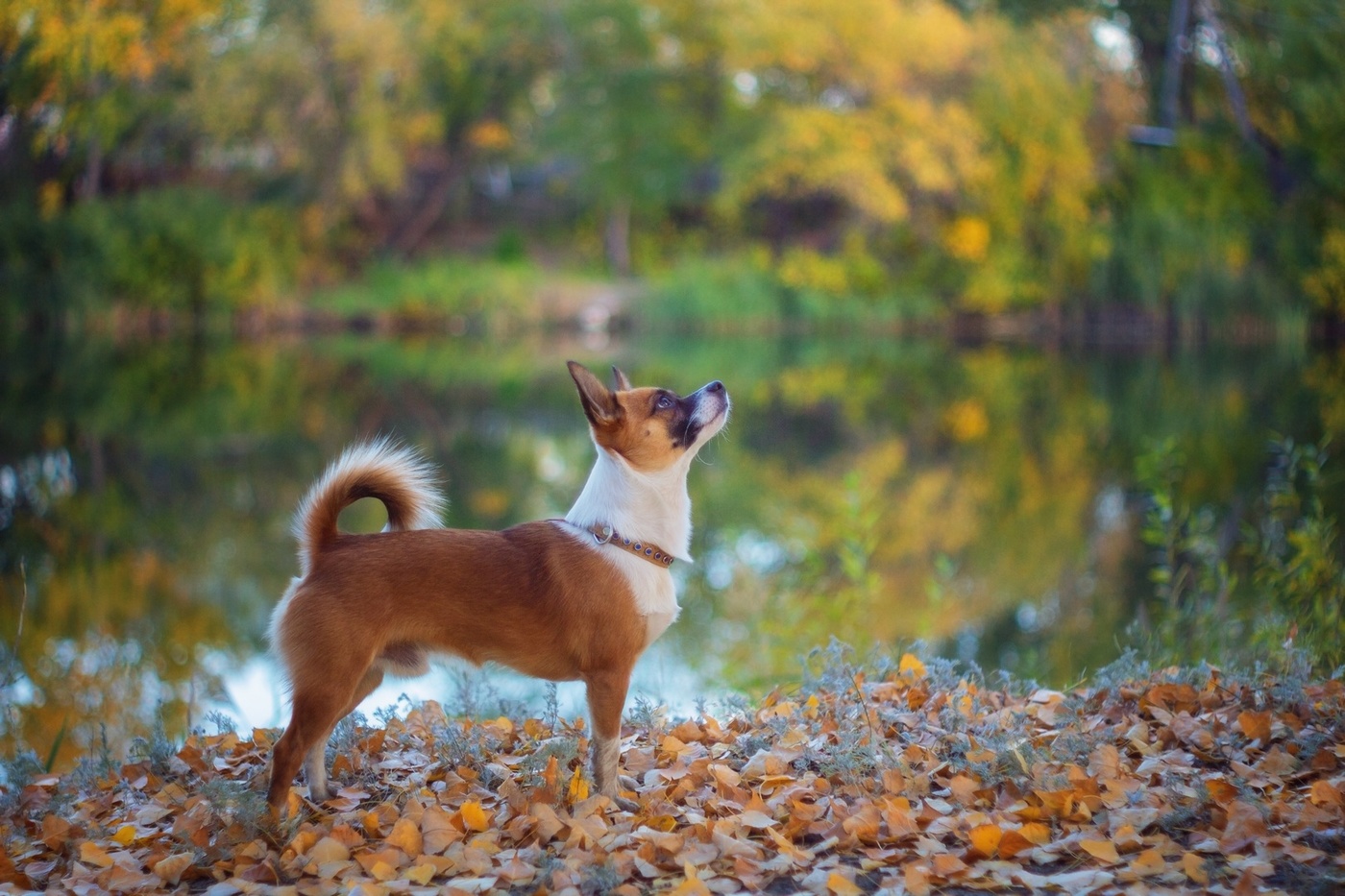 Кажется дождь собирается)