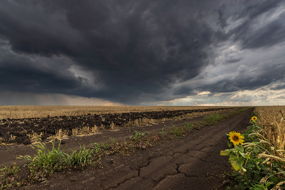 Под небом грозовым
