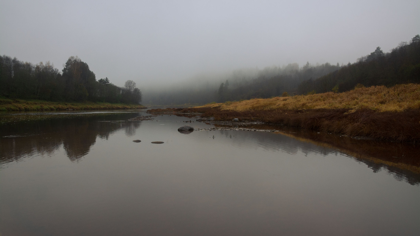 Жизнь вокруг