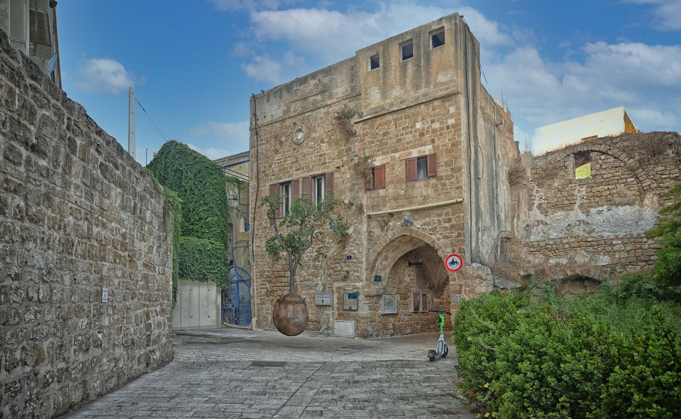 Парящее апельсиновое дерево