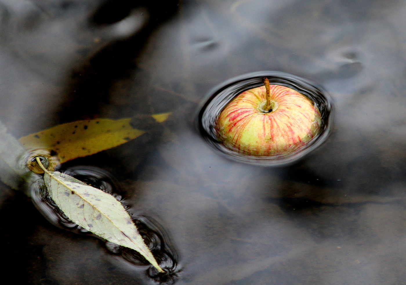Осенний этюд!