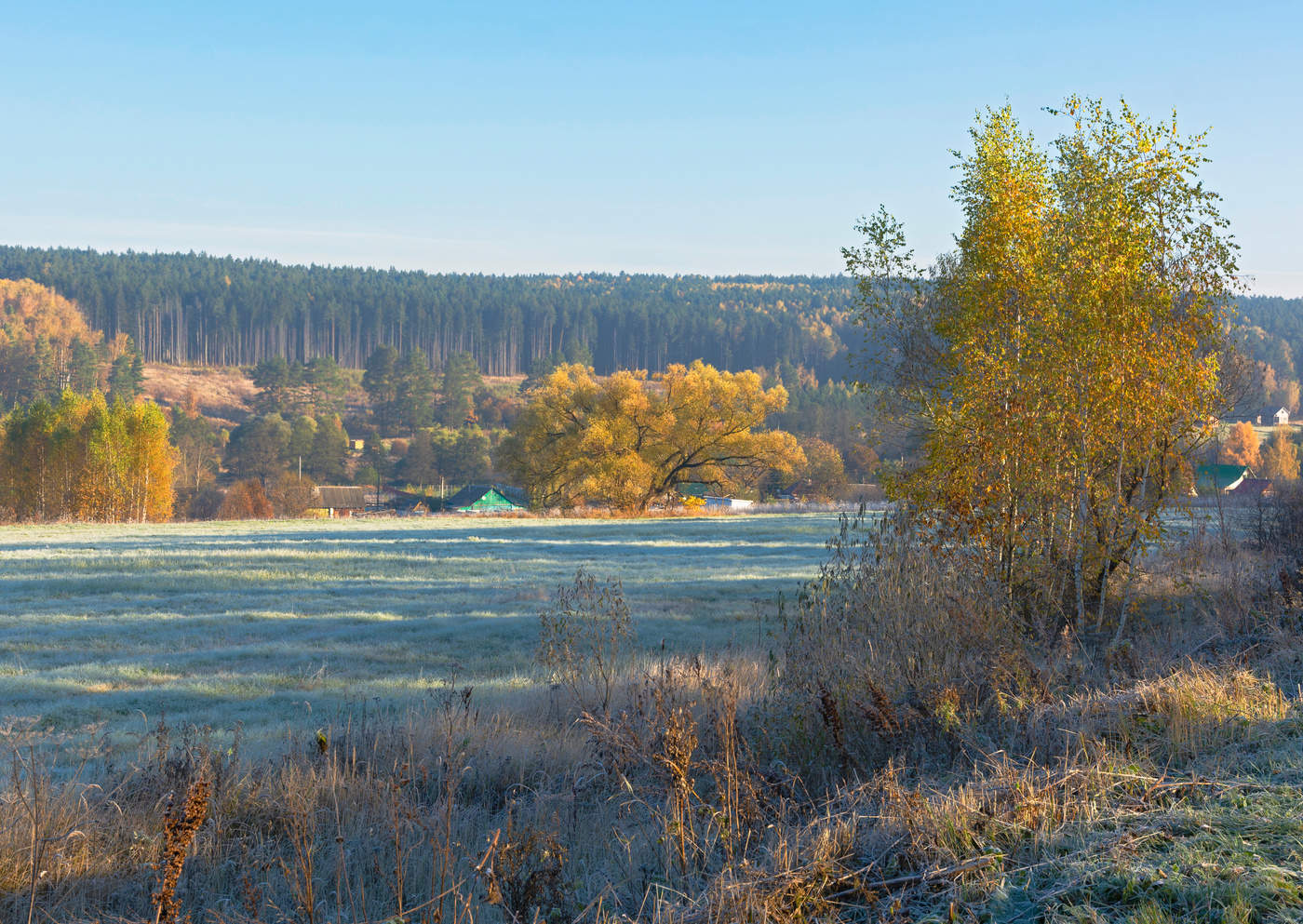 осенние зарисовки