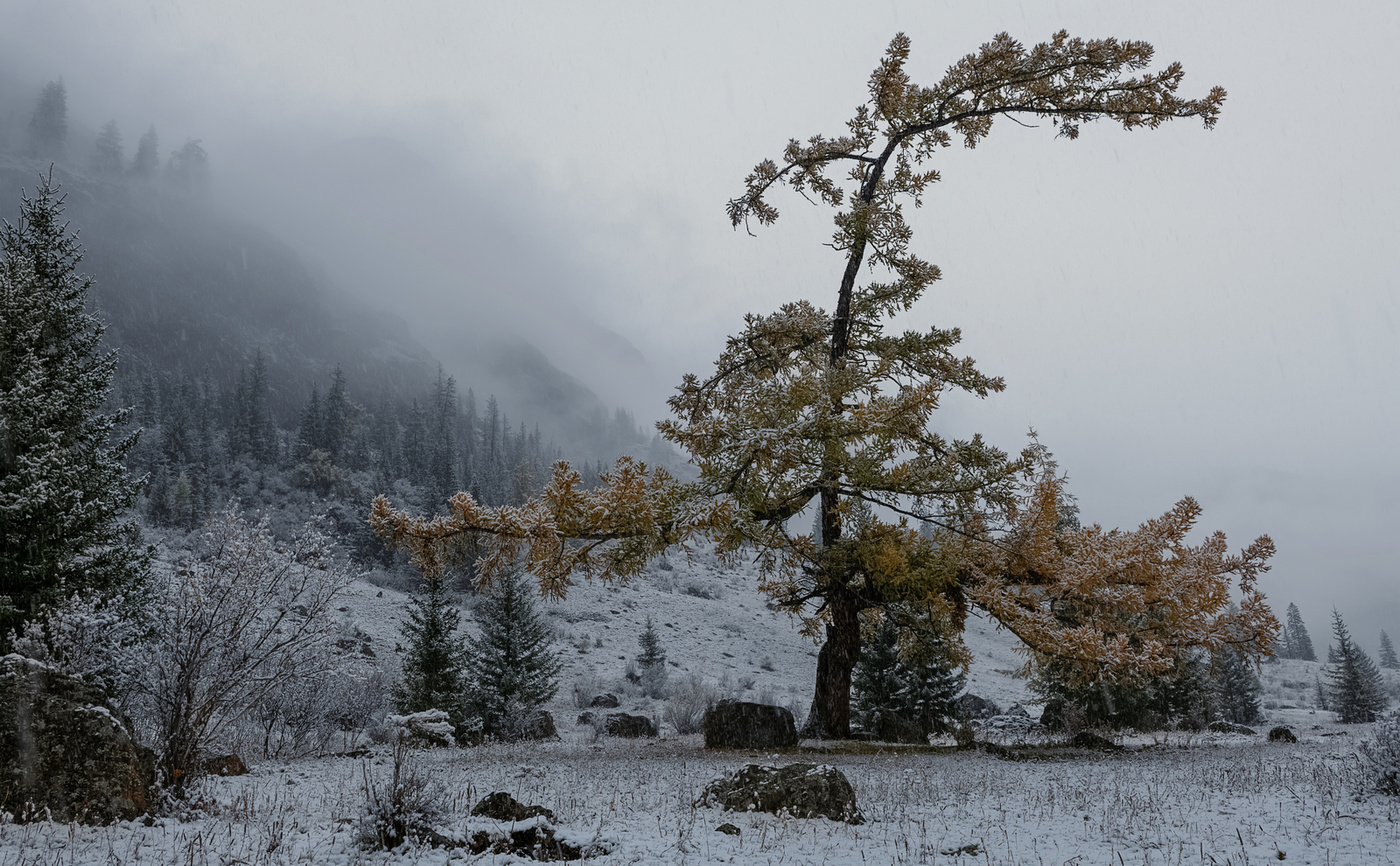 Зима на пороге.