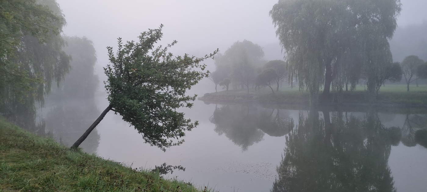 Осенние туманы...