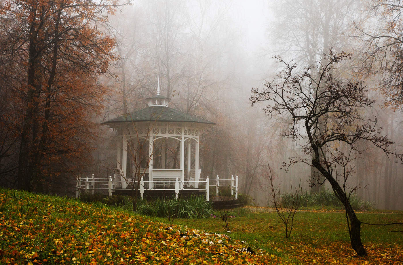 Туманное утро.