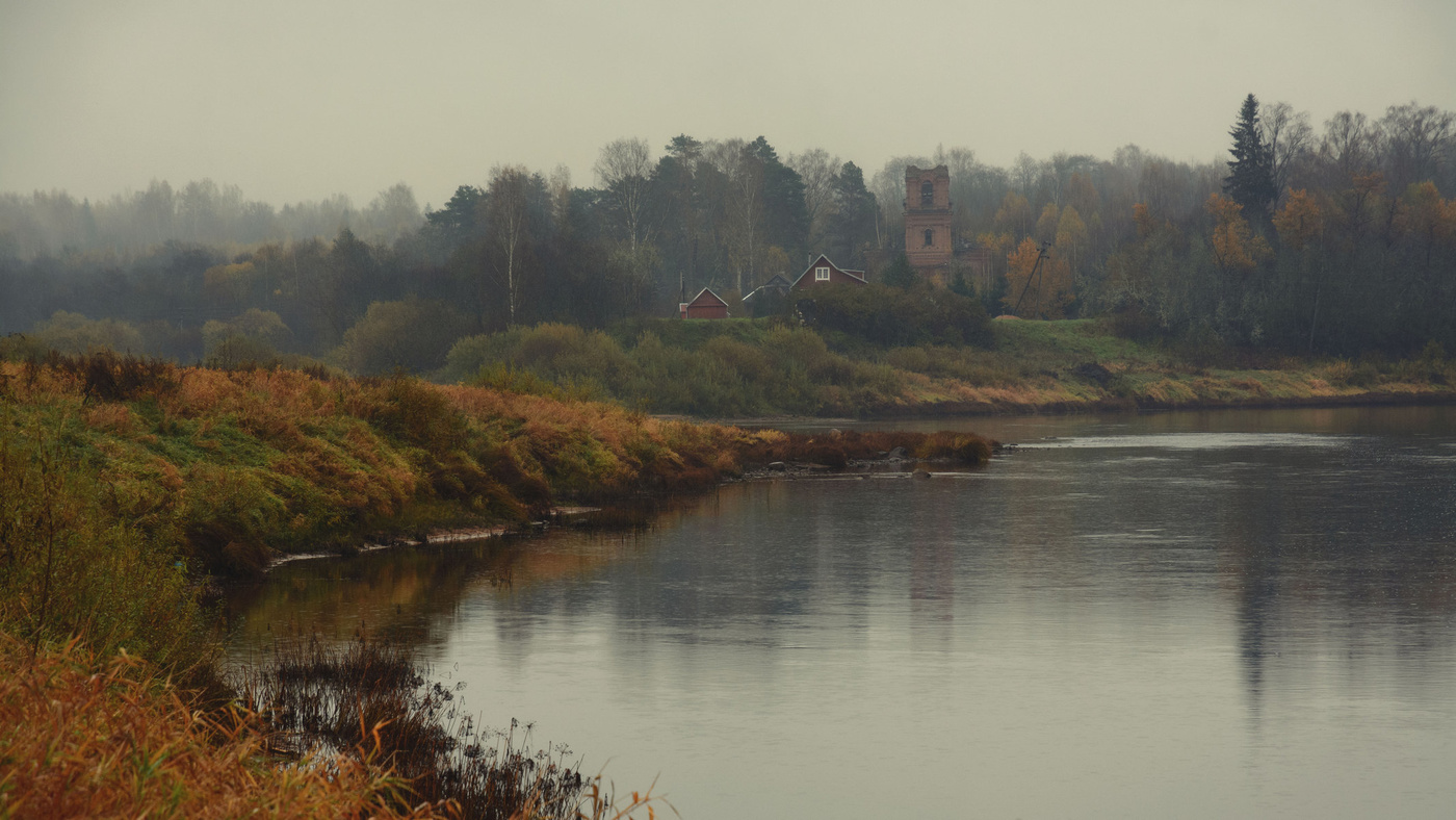 Жизнь вокруг