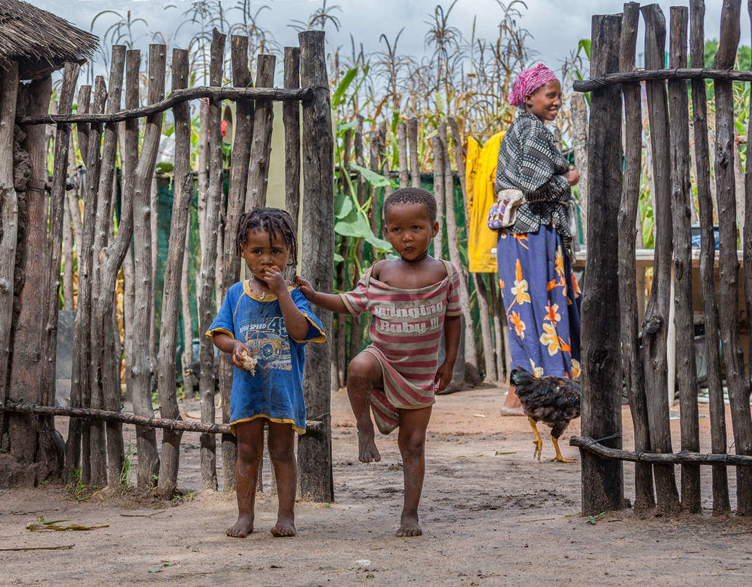 На одной ножке ...