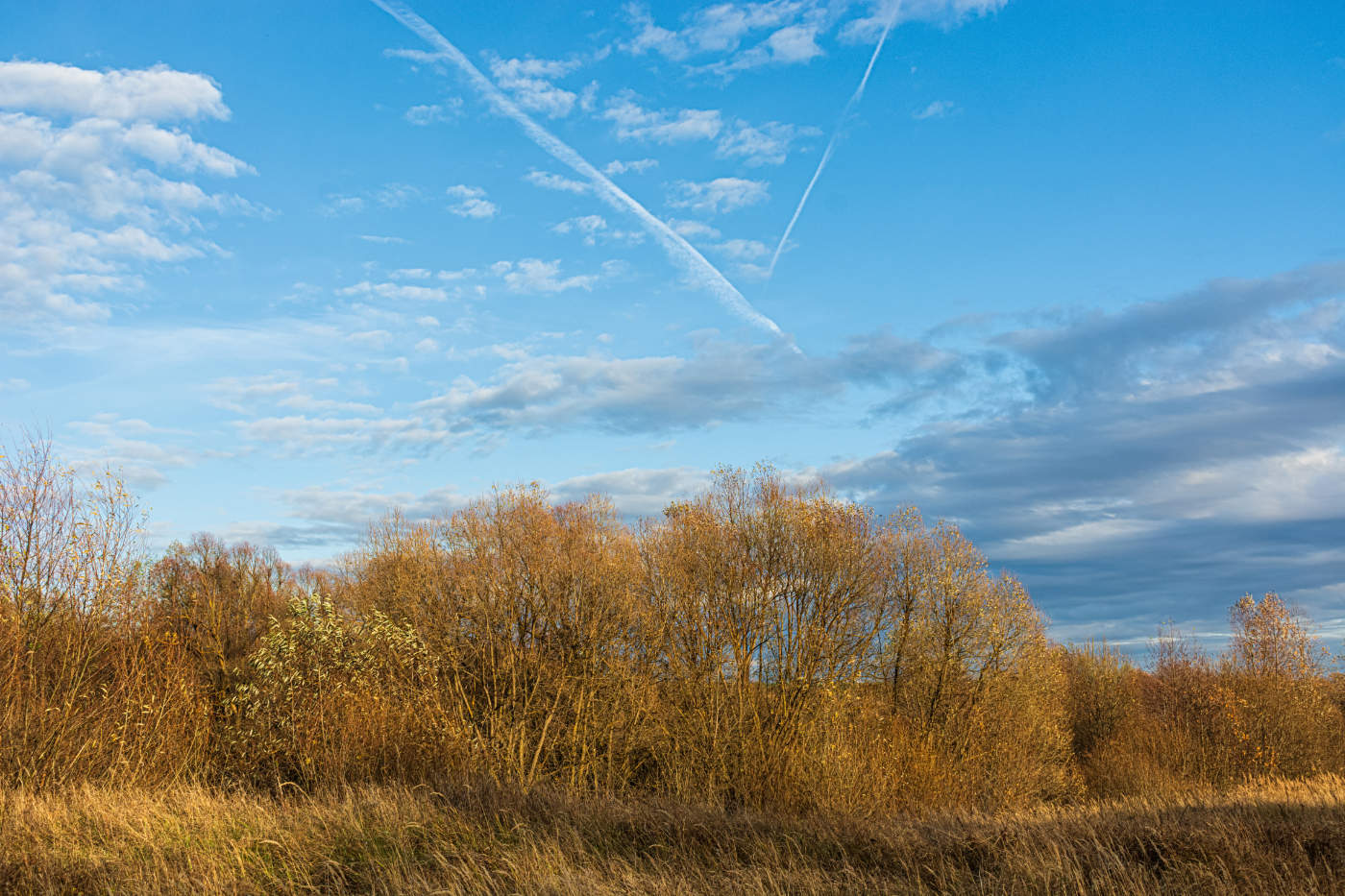 Небо осени: Синева с проседью...