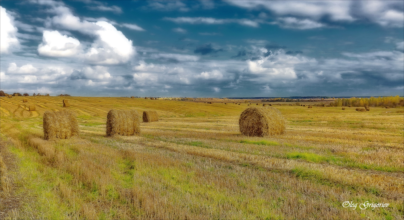 Под сенью Осени, набухших облаков...
