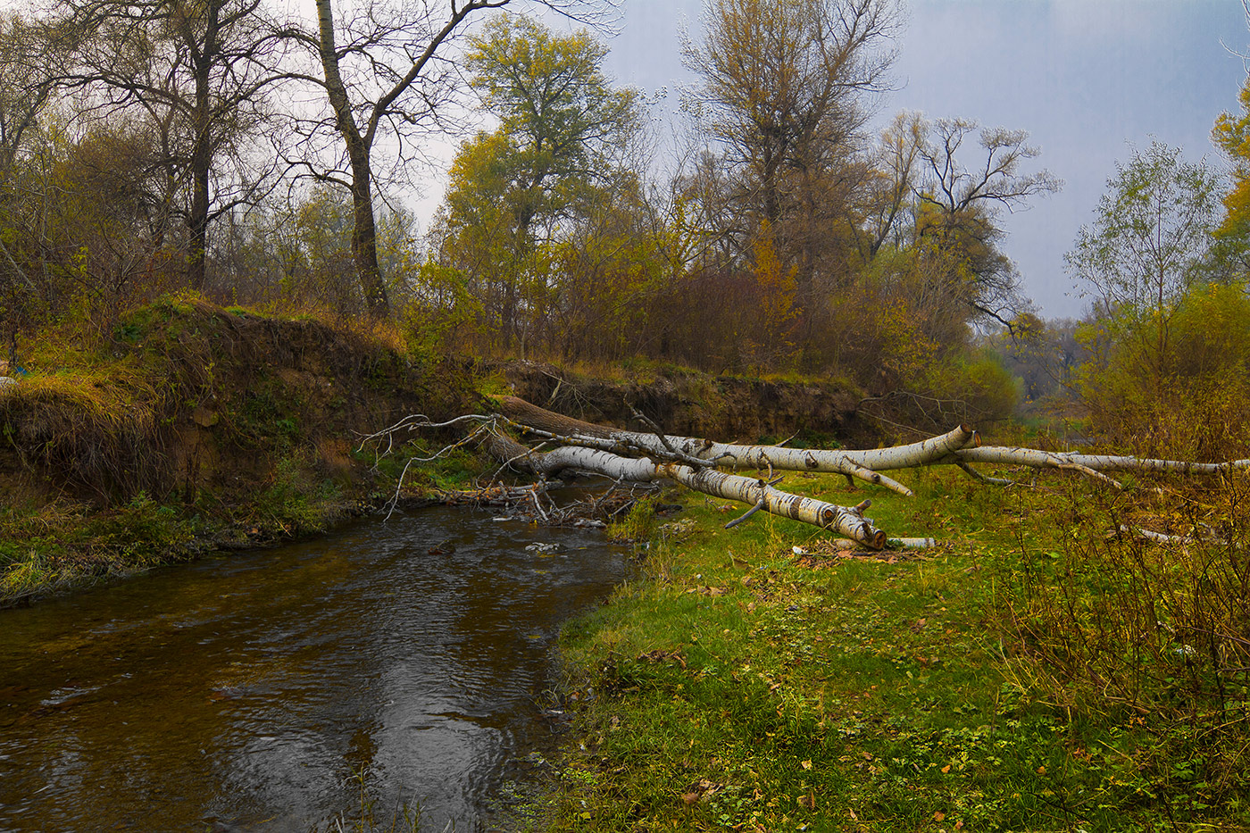 Осенняя печаль