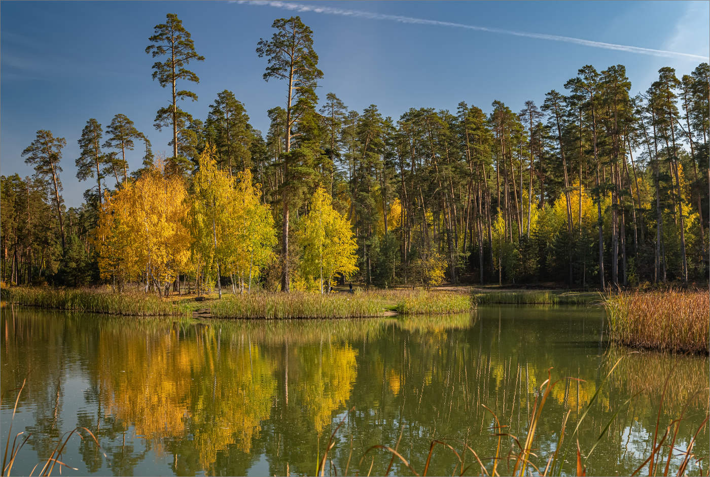 На Лебяжьем без лебедей