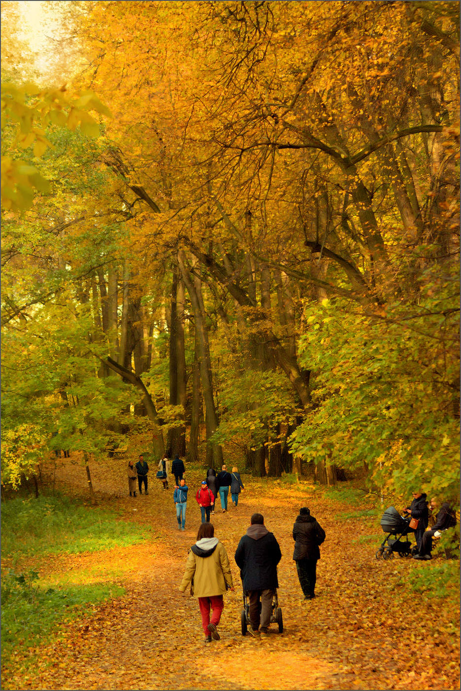 Прогулки под липами.