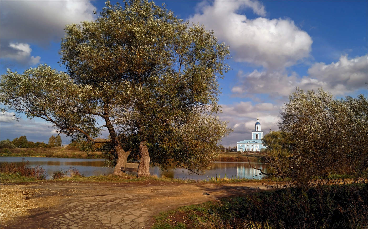 У сельского пруда