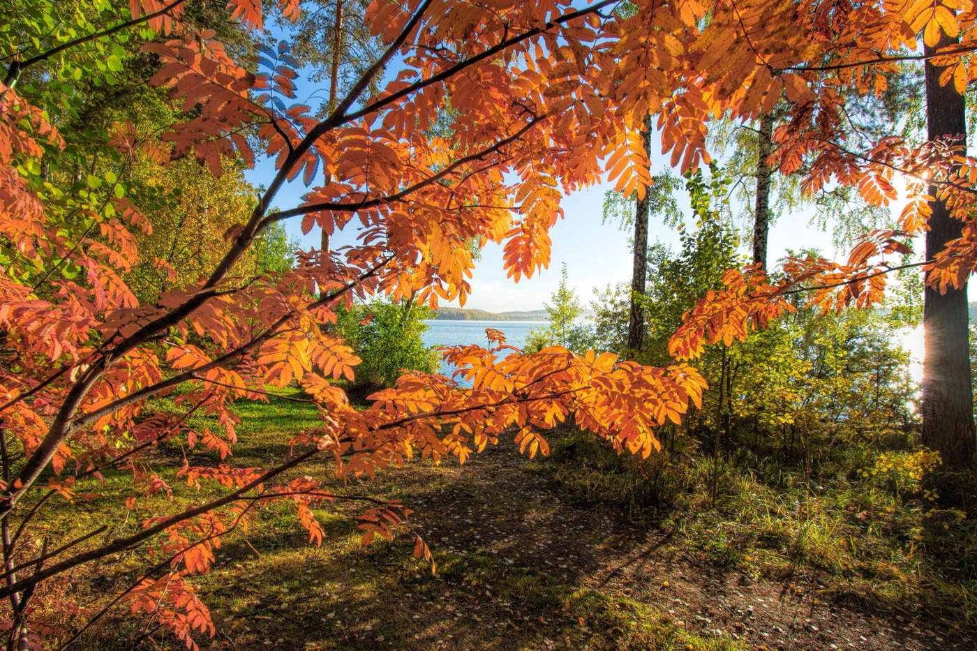 Рябиновая осень