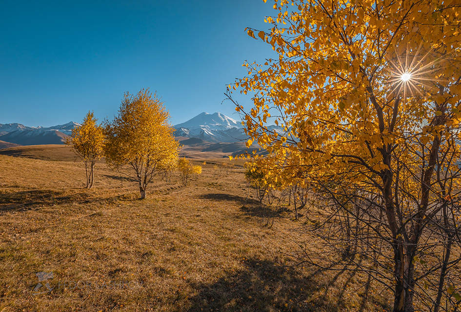 Эльбрус и золотые берёзы