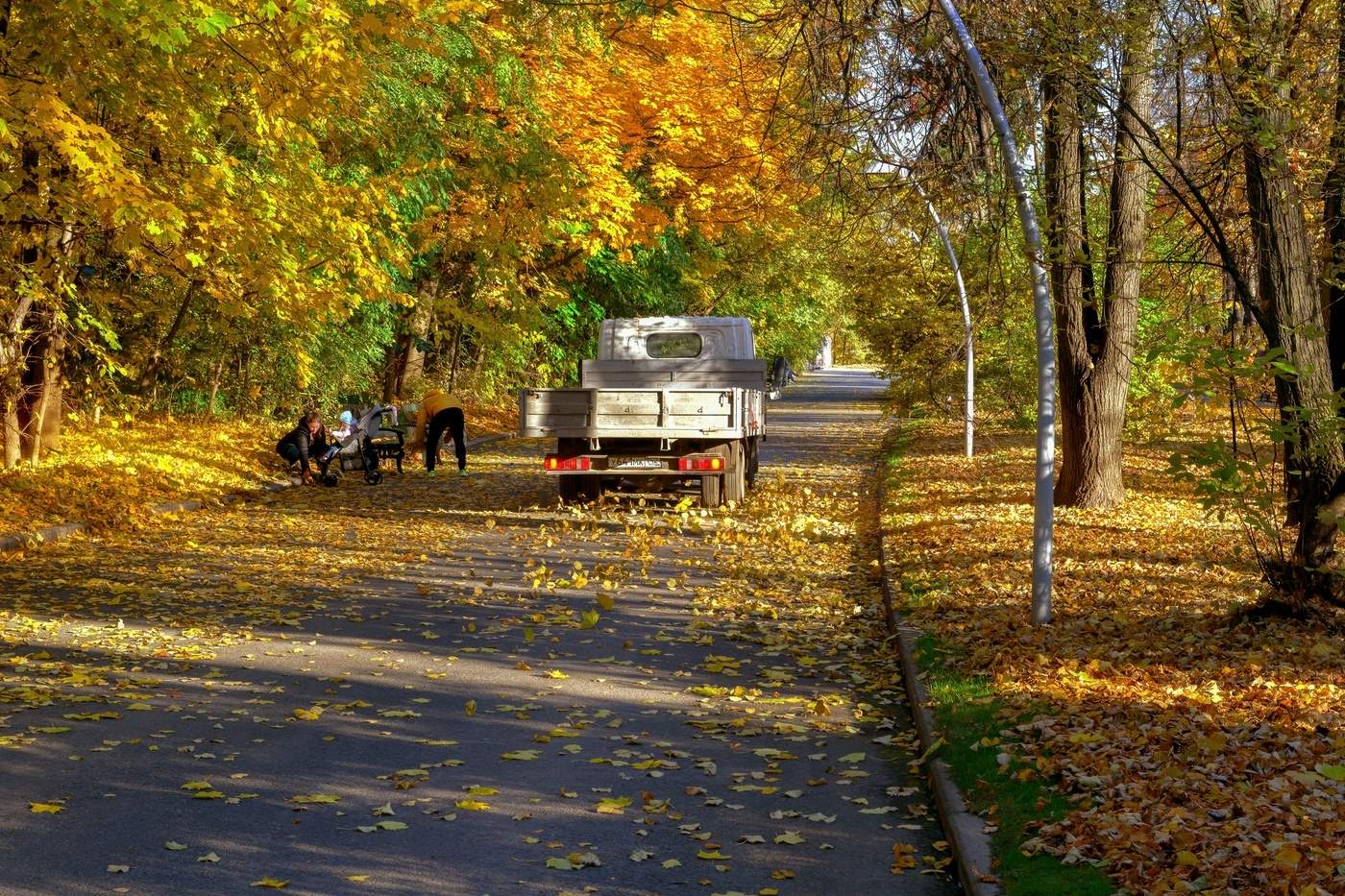 На осенних аллеях