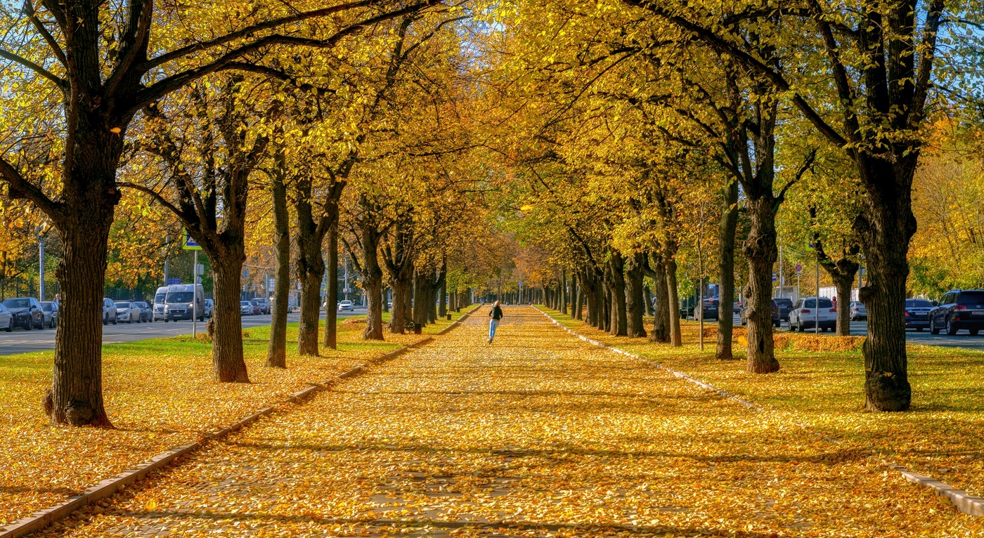 На осенних аллеях