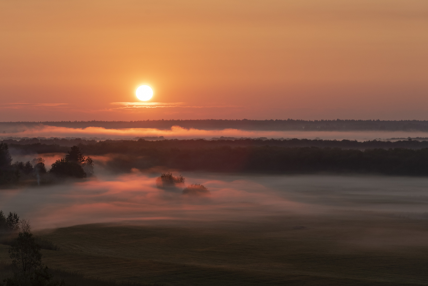 Ленивое утро