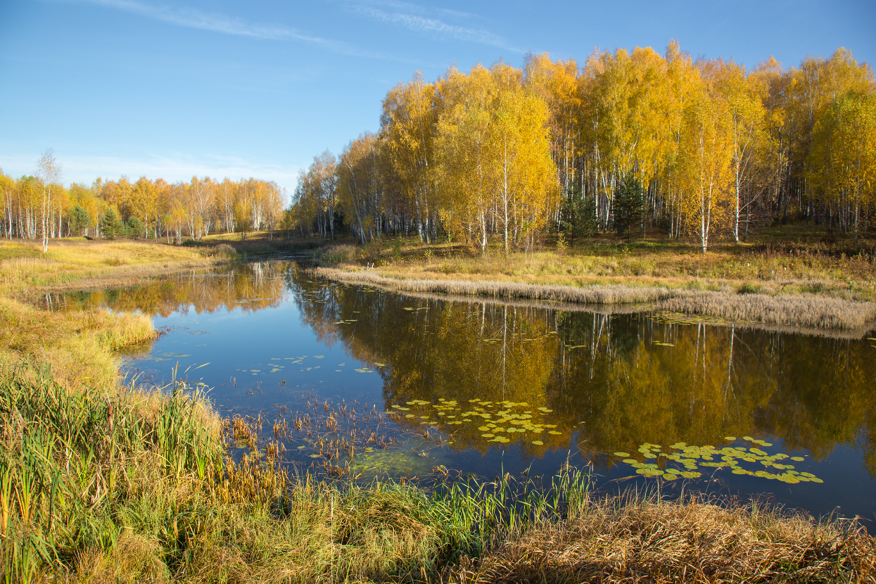 Погожий денек