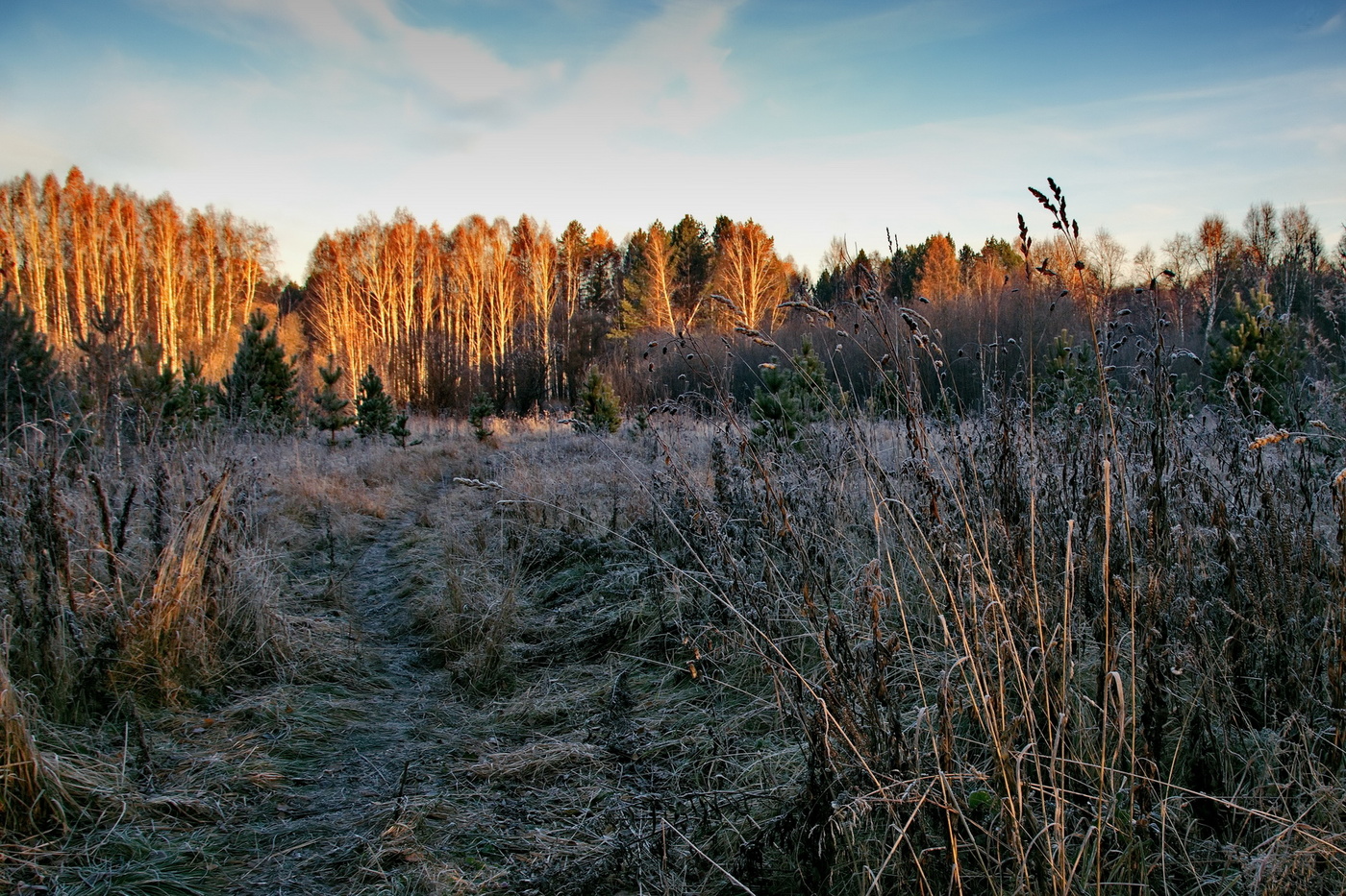 *Октябрьское утро.**
