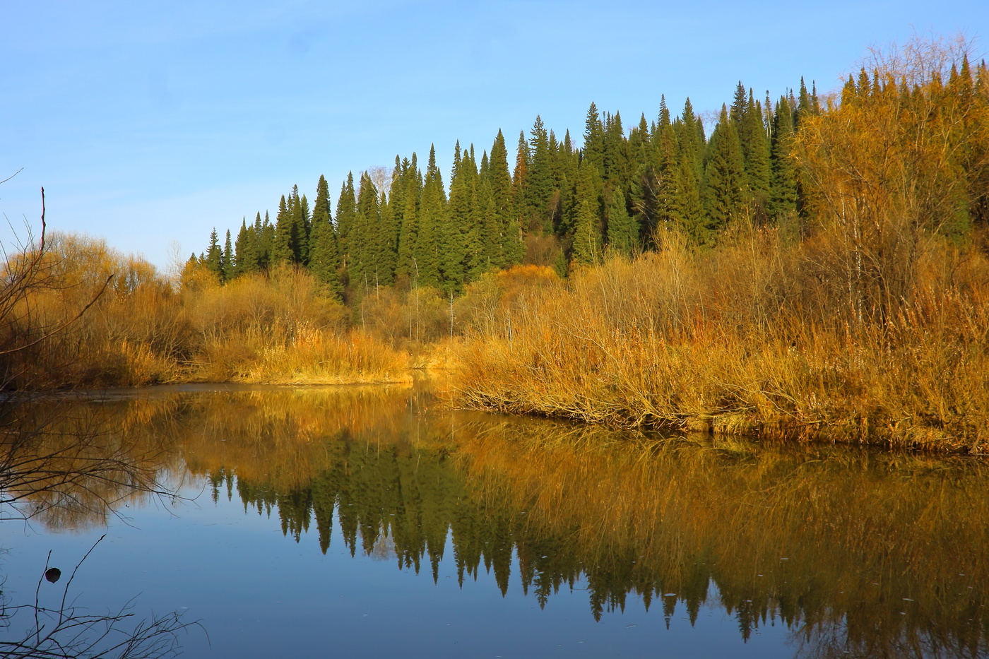 Вечерние размышления