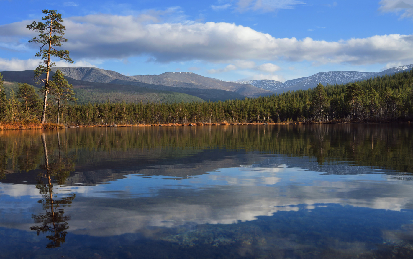 Улыбка осени