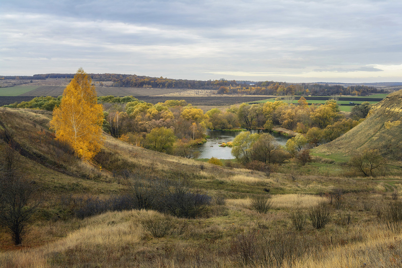 Тульские просторы.