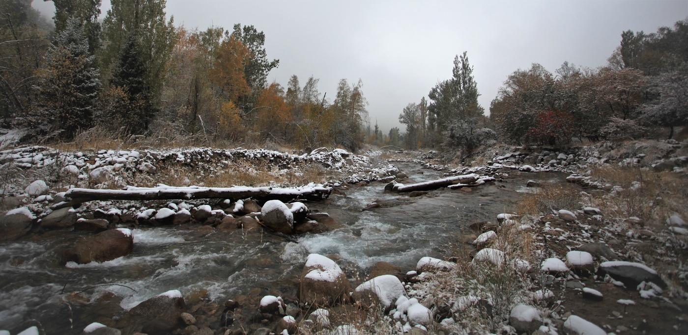 Первые шаги зимы