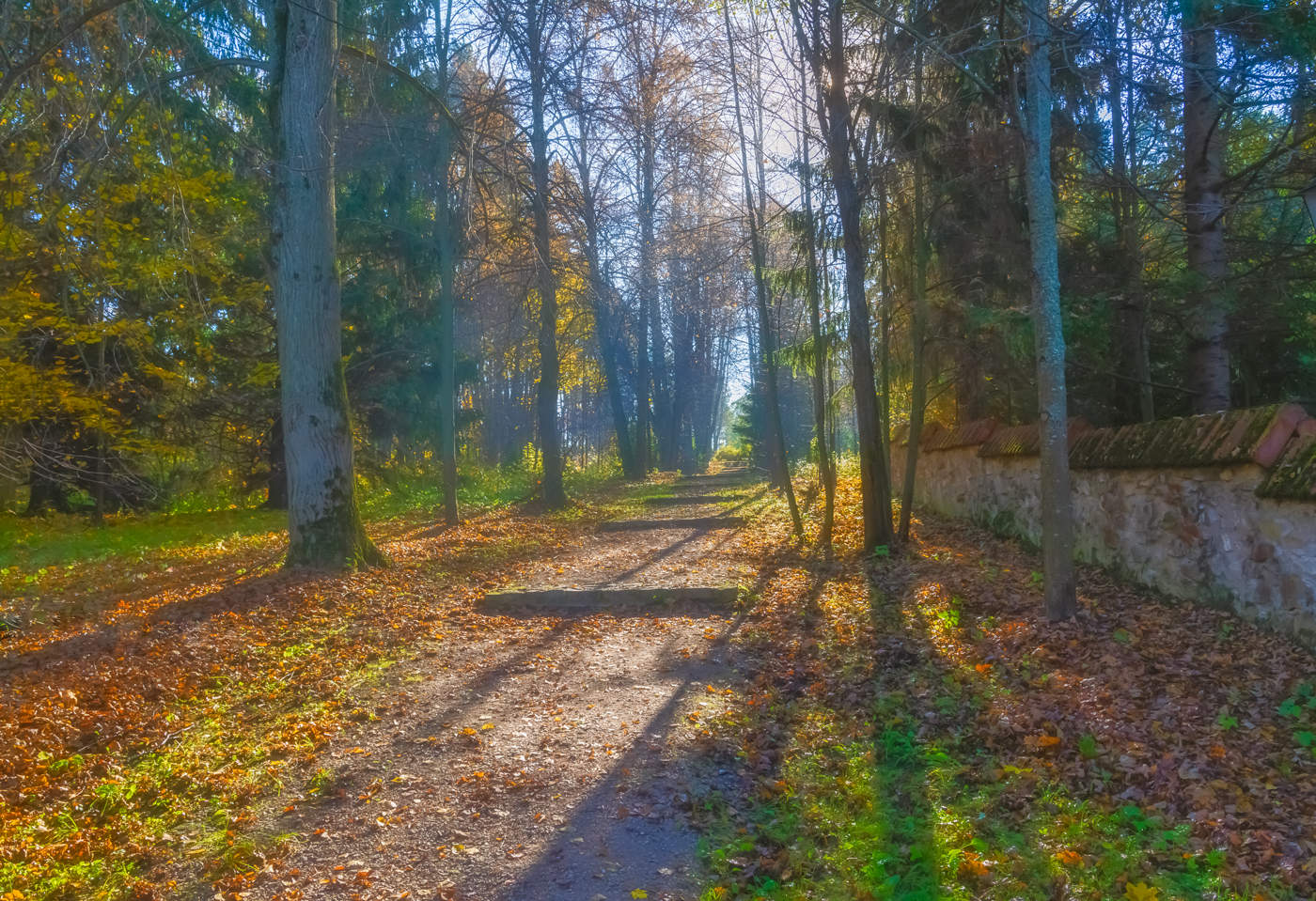 осенние зарисовки