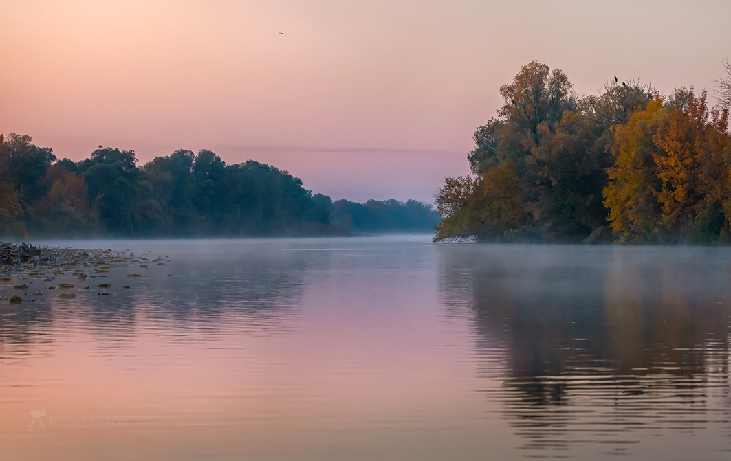 Акварели из заповедника