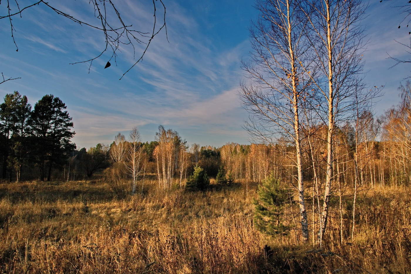 Осенний вечер.