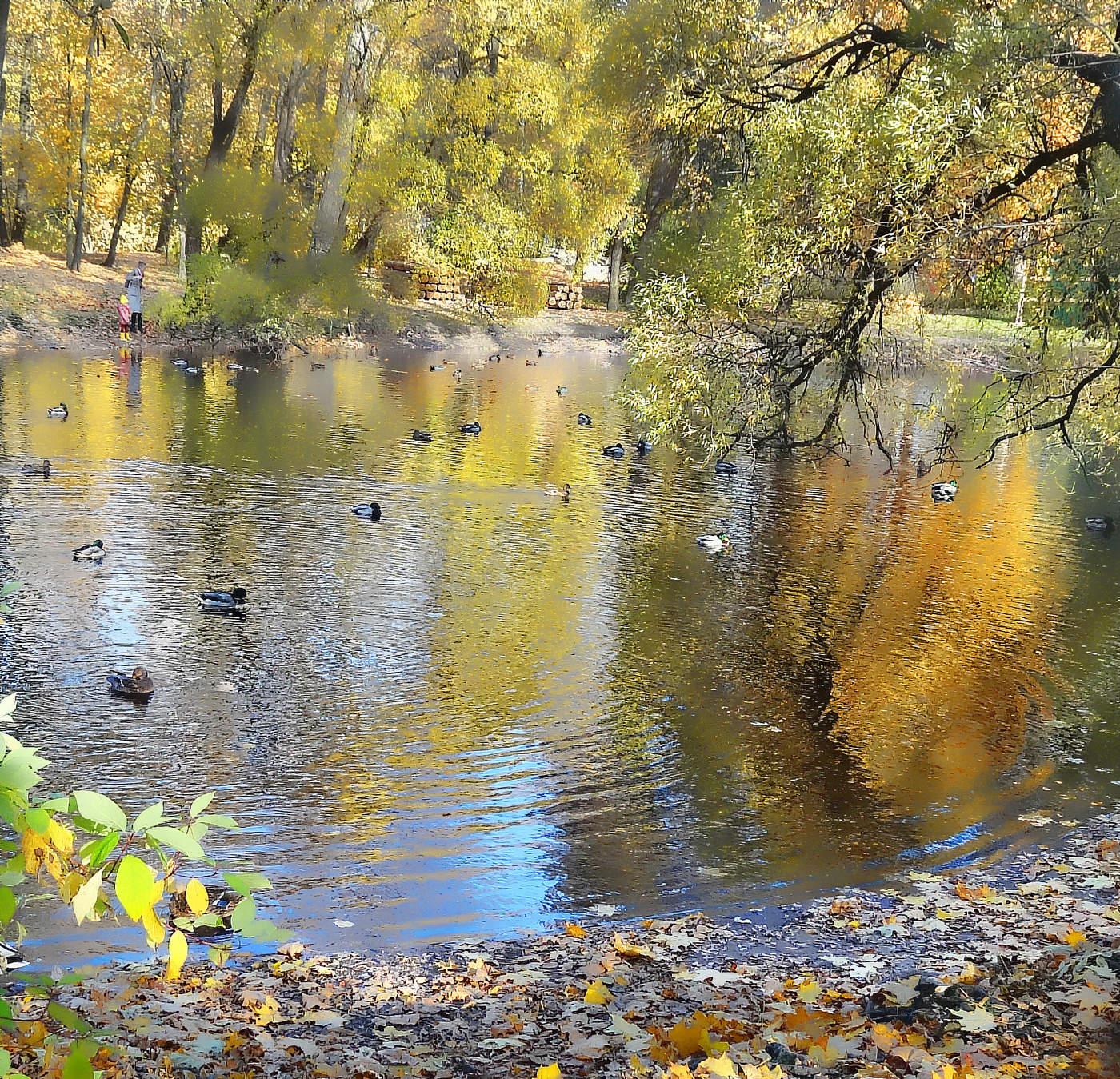 В желтой гамме