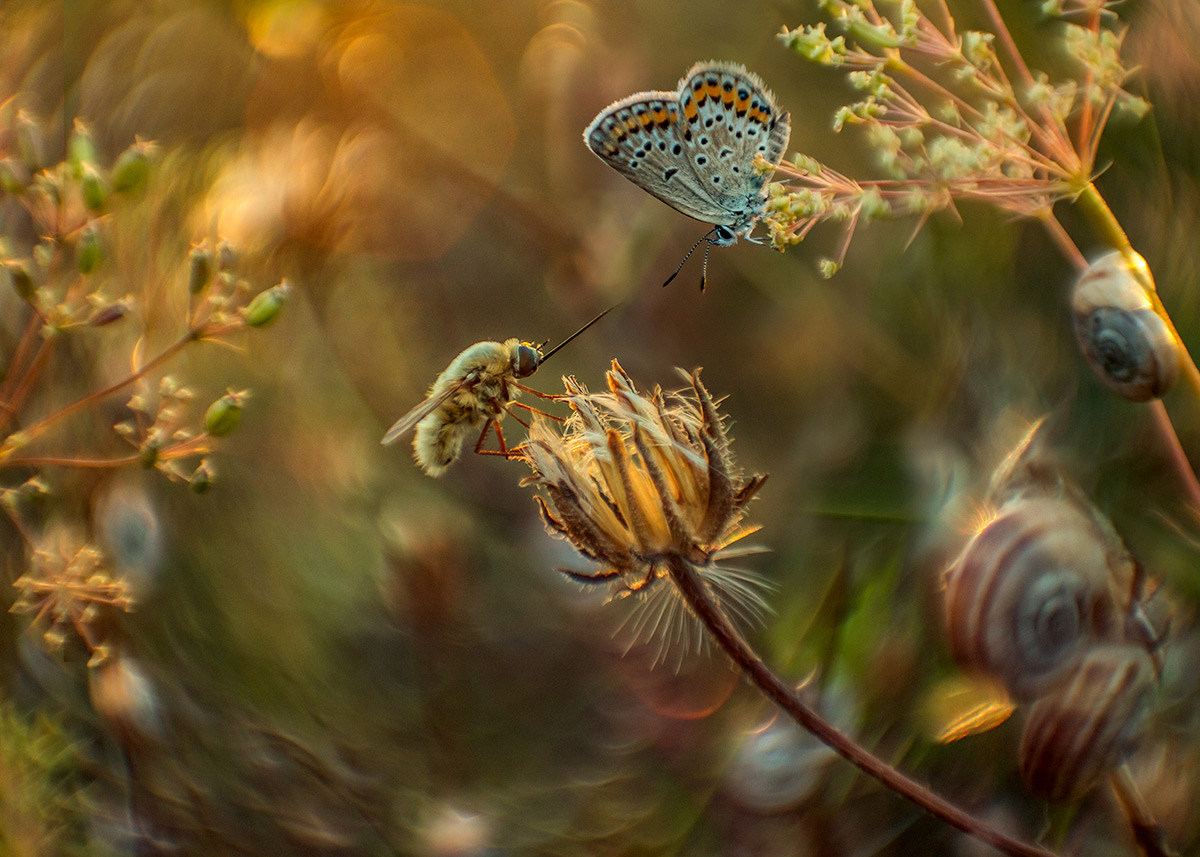 Душевный разговор