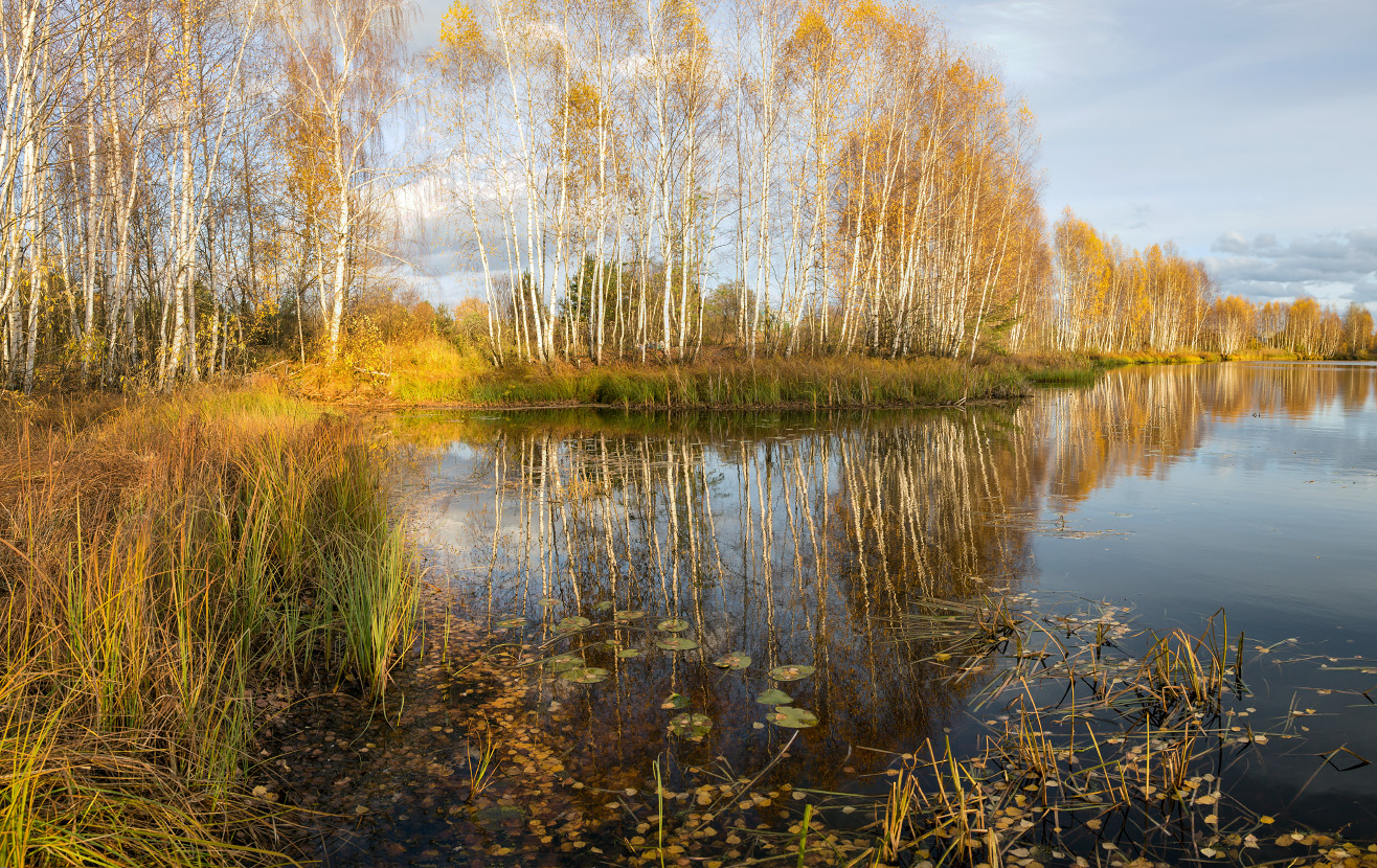 Осенний сюжет