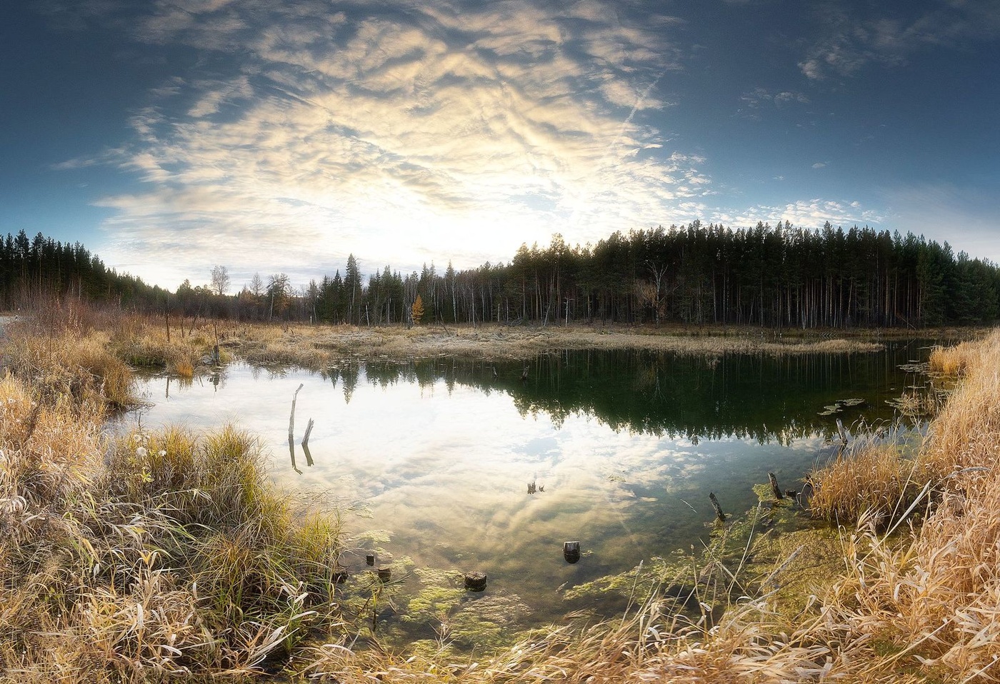 Осень на болоте